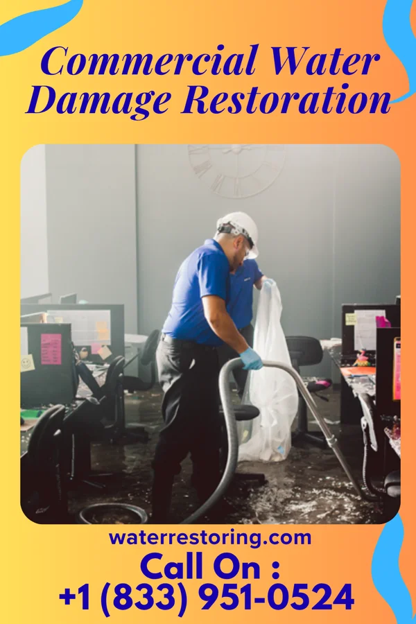 Commercial Water Damage Restoration in Praesel, TX