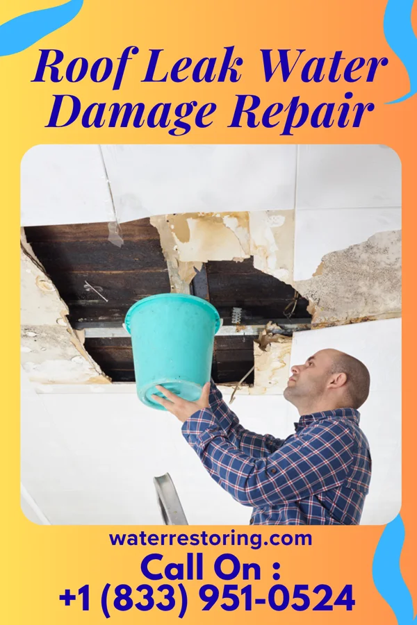 Roof Leak Water Damage Repair in Praesel, TX